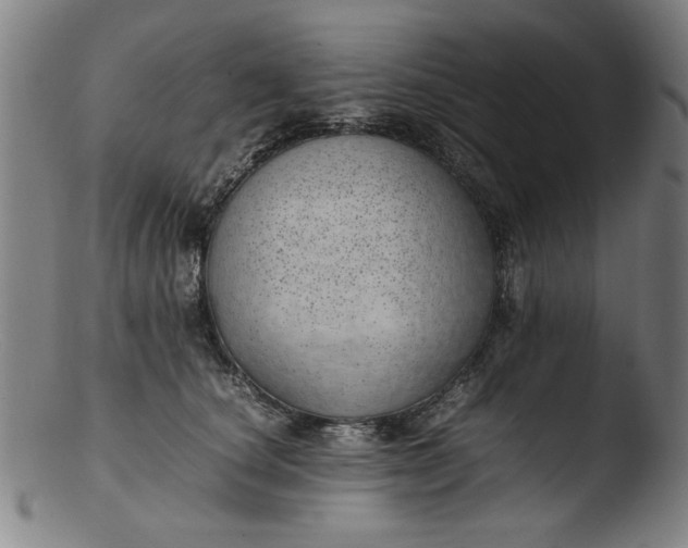 X0000103410660200809261644