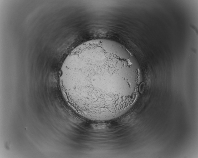 X0000103410661200809261644