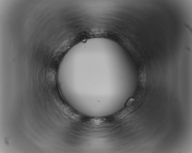 X0000103410662200809261644