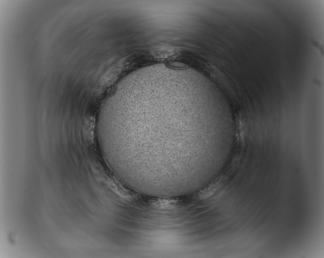 X0000103410664200809261644