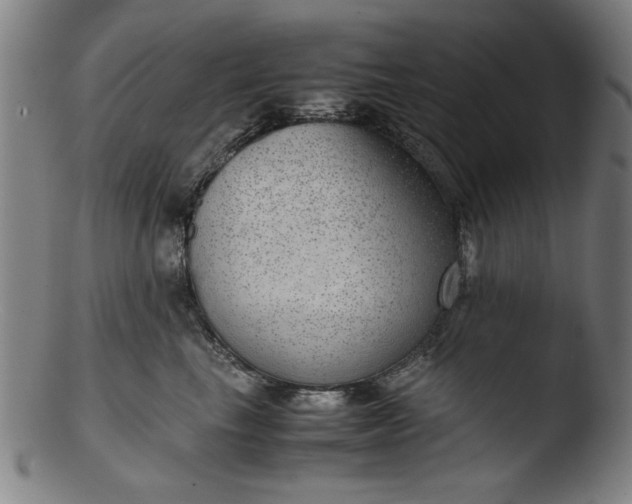 X0000103410665200809261644