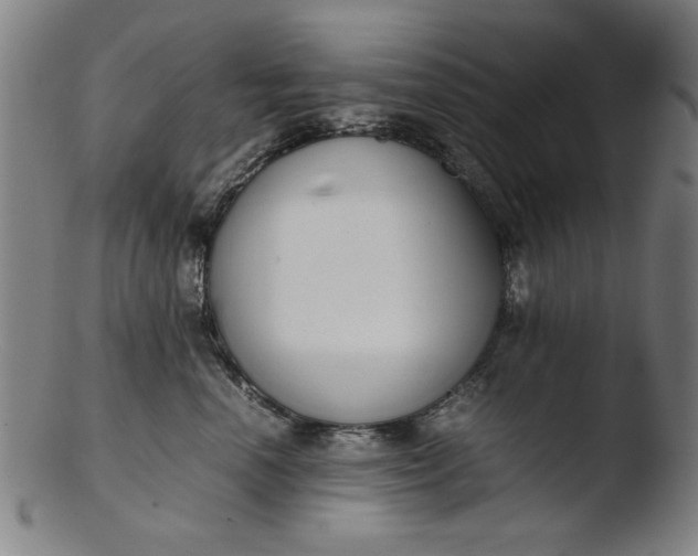 X0000103410666200809261644