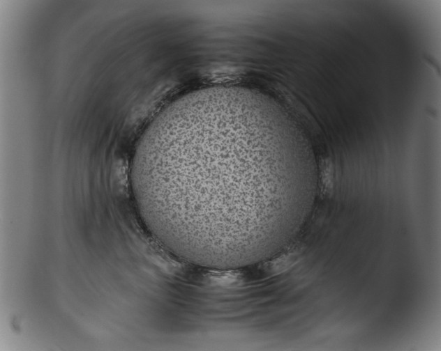 X0000103410667200809261644