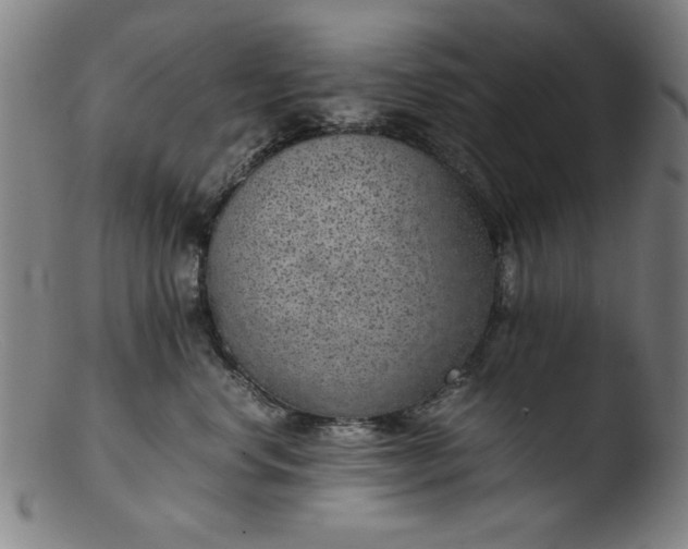 X0000103410668200809261644