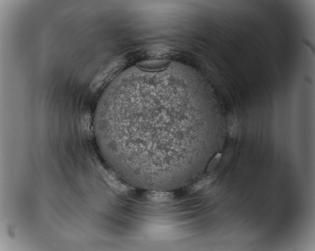 X0000103410670200809261644