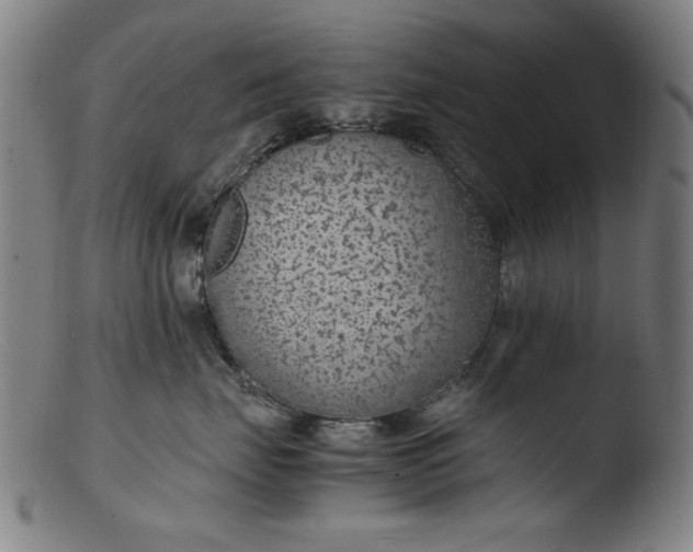 X0000103410671200809261644