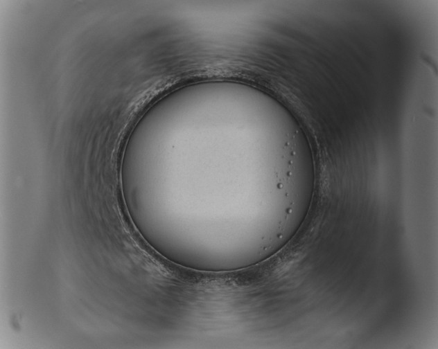 X0000103410673200809261644