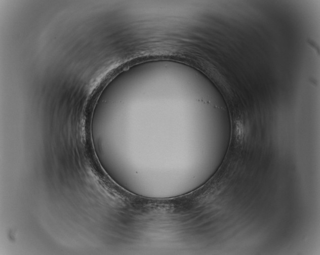 X0000103410676200809261644