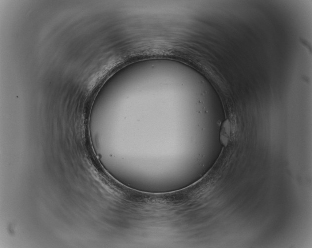 X0000103410677200809261644