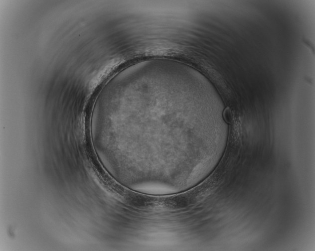 X0000103410678200809261644