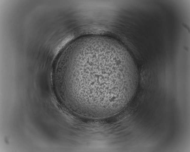 X0000103410679200809261644