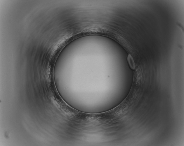 X0000103410680200809261644