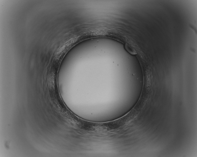 X0000103410681200809261644