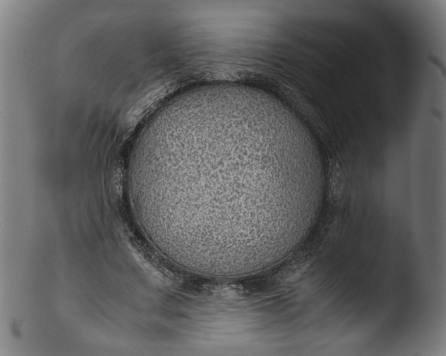 X0000103410683200809261644