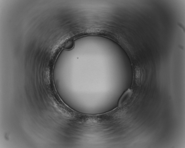 X0000103410684200809261644