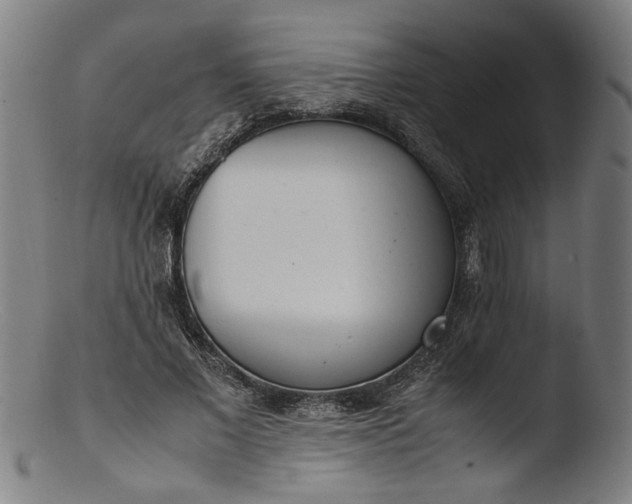 X0000103410685200809261644