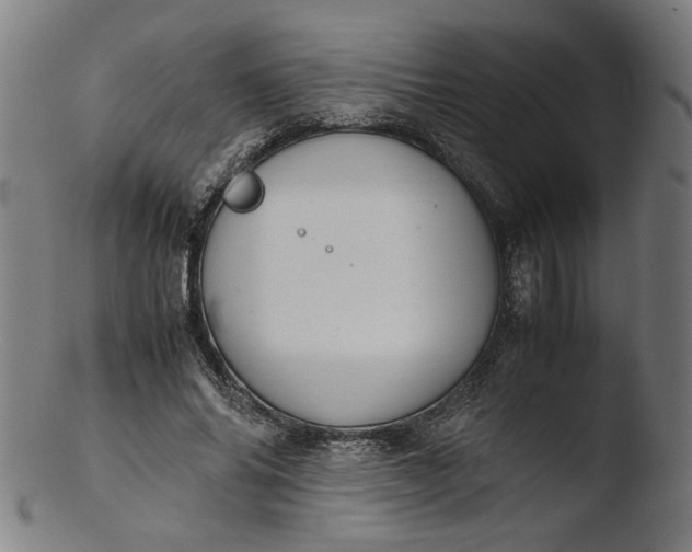 X0000103410686200809261644