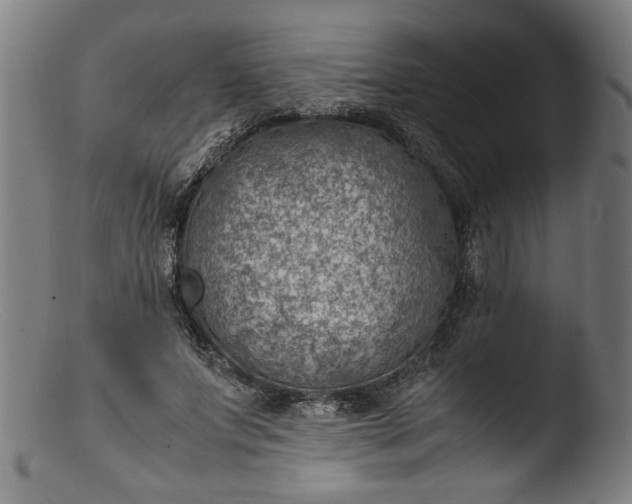 X0000103410687200809261644