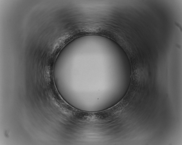 X0000103410688200809261644