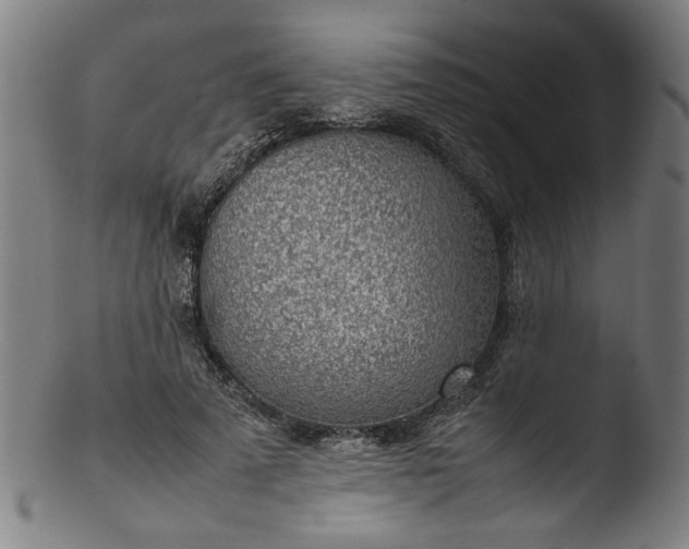 X0000103410689200809261644