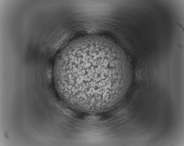 X0000103410691200809261644