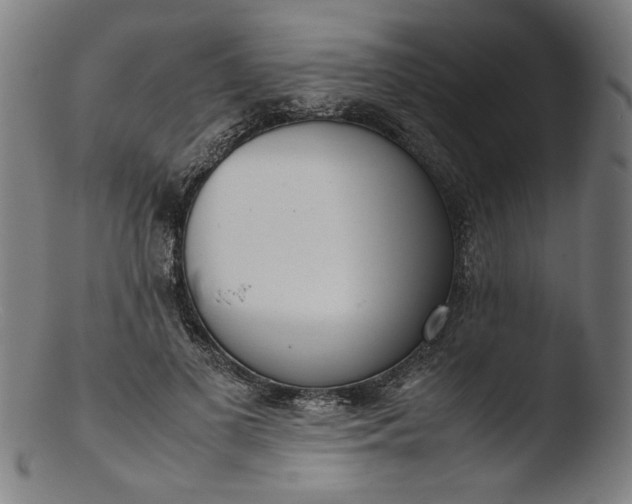 X0000103410693200809261644