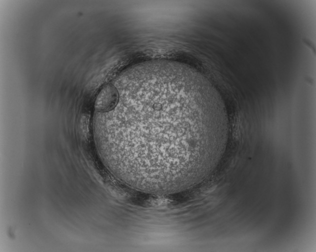 X0000103410695200809261643