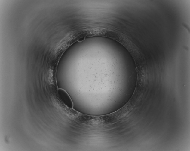 X0000103410696200809261643