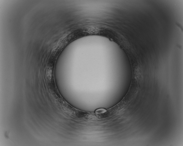 X0000103410697200809261643