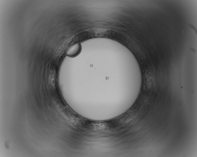 X0000103410698200809261643