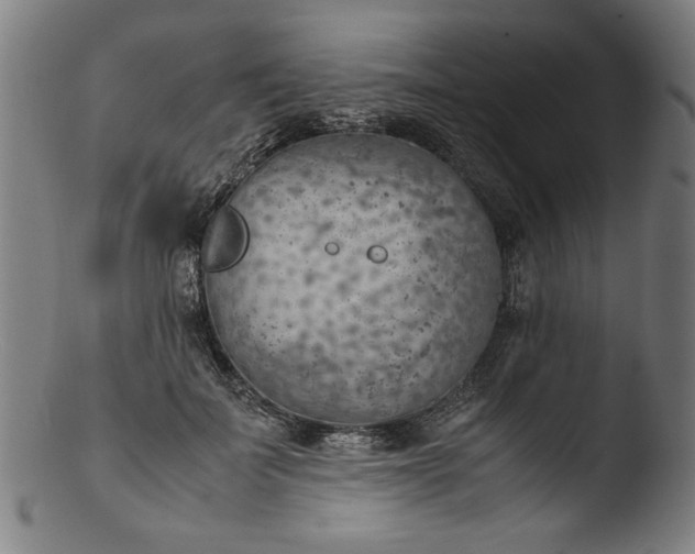 X0000103410699200809261643