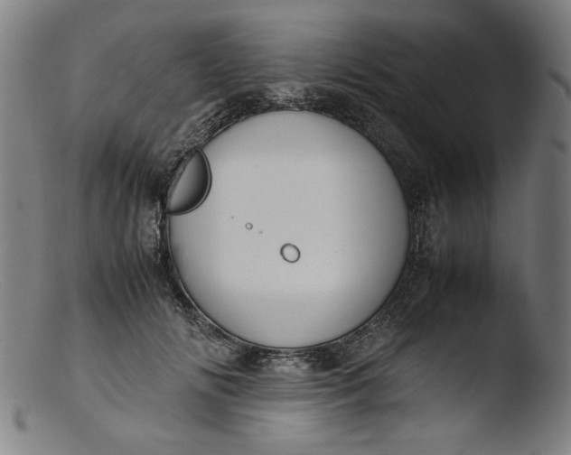 X0000103410702200809261643