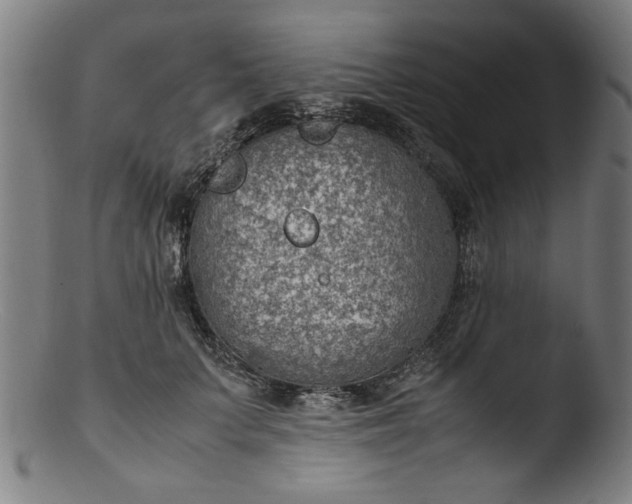 X0000103410703200809261643