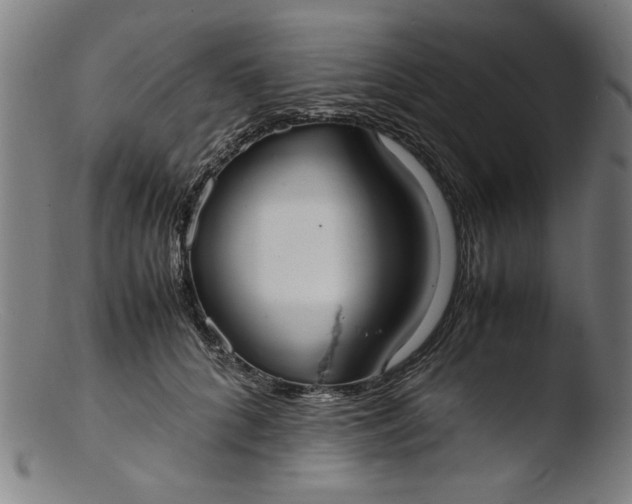 X0000103410704200809261643