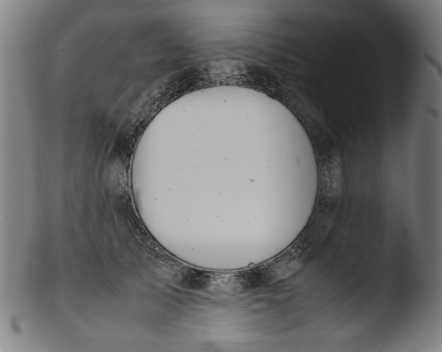 X0000103410705200809261643