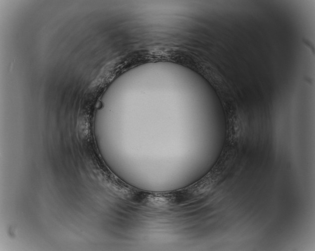 X0000103410706200809261643