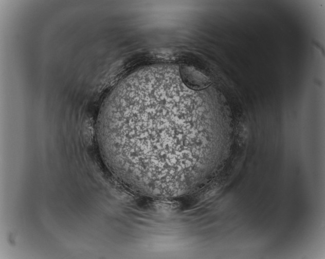 X0000103410707200809261643