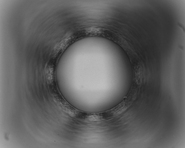 X0000103410708200809261643