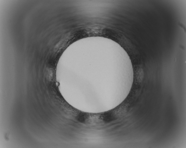 X0000103410709200809261643