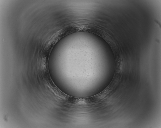 X0000103410710200809261643