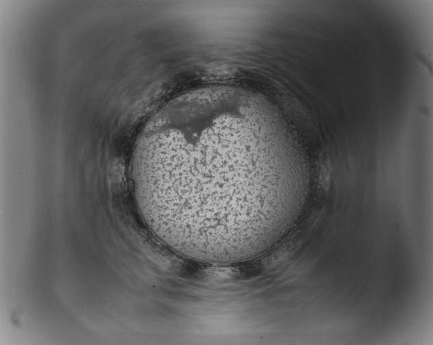 X0000103410711200809261643