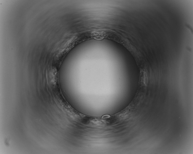 X0000103410712200809261643