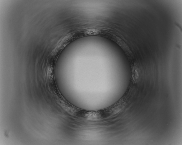 X0000103410714200809261643