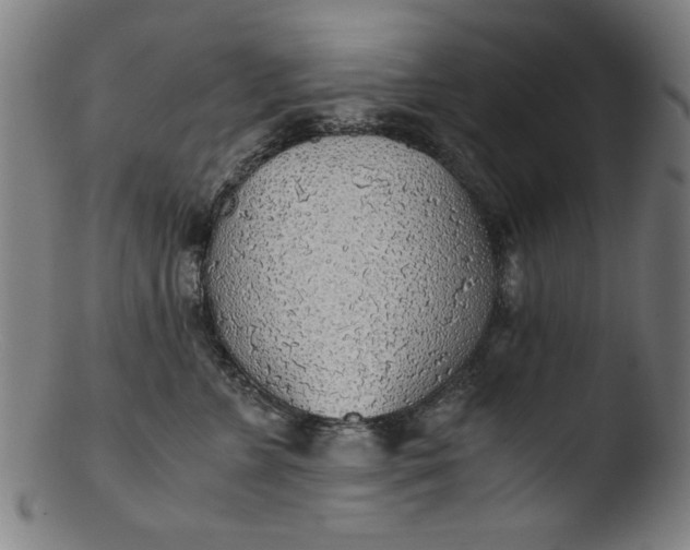 X0000103410715200809261643