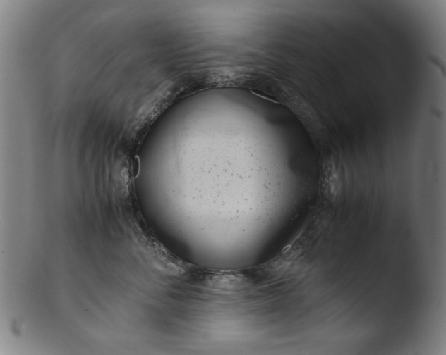 X0000103410716200809261643