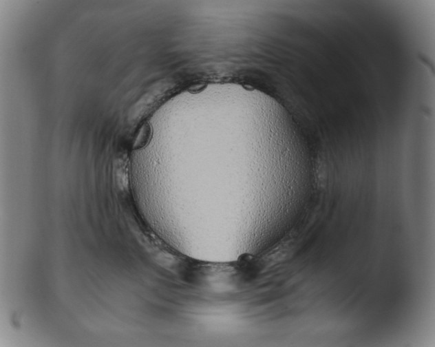 X0000103410719200809261643