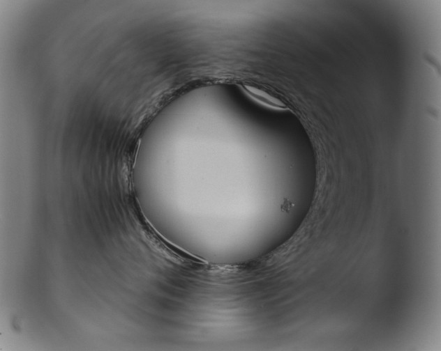 X0000103410720200809261643