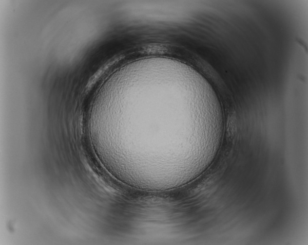 X0000103410722200809261643