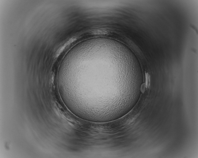 X0000103410723200809261643