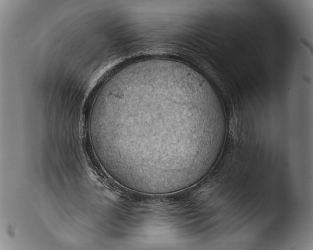 X0000103410724200809261643